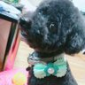 みき profil fotoğrafı