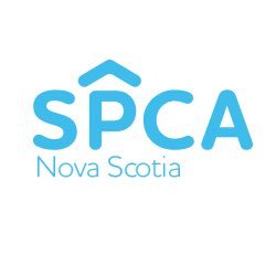 NSSPCA's profile picture