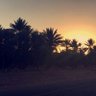 اليوسف 的头像