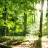 Фото профиля روح الحياة