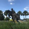 Jason Janota's profile picture