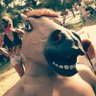 Secretariat🐴's profile picture