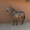 Фото профиля فرحان طحيّن العنزي