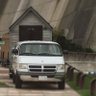 しばいぬ 的头像