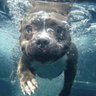 BRvalentine's profile picture