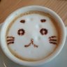 ゴマ丸 的头像