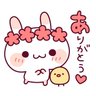 Profilbild von ちび黒猫