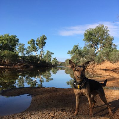 eyres_N's profile picture