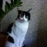 Profilbild von Nuhad M Akl