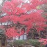 natural9 的头像