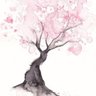 Mei 的头像