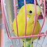 ãã¿é骚ã¯ã©ãã·ã£ãŒ's profile picture