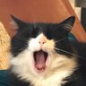 Jo's profile picture