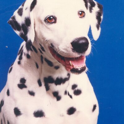 DrYukoNishiyama's profile picture