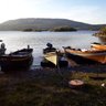 Daithí de Búrca 的头像