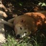 李通@ドスケベ共和国大統領 profil fotoğrafı