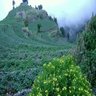 محمد's profile picture