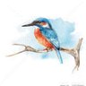 yuukou profil fotoğrafı