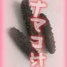 Profilbild von ナマコ汁