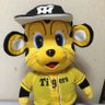 Фото профиля 🐯ナニワのホーリー🐯