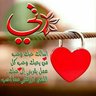 Layla Mashragi's profile picture