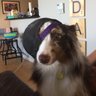 Ian's profile picture