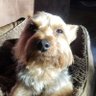 RevSavage profil fotoğrafı