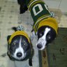 Profilbild von Go Pack Go Blue Go Jets