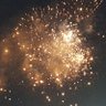 風邪は天敵 的头像