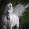 الهدوء الجميل's profile picture