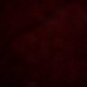 Abo Ziad's profile picture