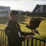 Northern Pest Management's profile picture