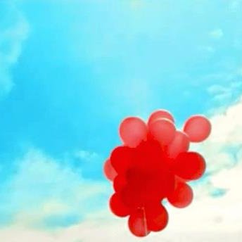 n m k . ™'s profile picture