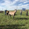 Надмид 的头像