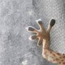 ♪♫__ OLiVE __ ♫♪'s profile picture