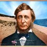 Profilbild von Henry Thoreau