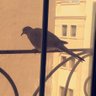 w 💛🍃 profil fotoğrafı