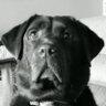 Profilbild von Murph