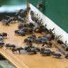 Фото профиля Jim M 🐝🇪🇺🇺🇦