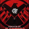 Agent of Flamengo profil fotoğrafı