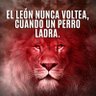 Alexander Lozano's profile picture
