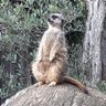 Himself28's profile picture