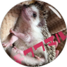 さにたすさんてちくわ丸の人 profil fotoğrafı
