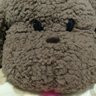 guchiko/転活中's profile picture
