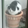 bill bill's profile picture