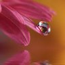 Фото профиля L'Oranaise_2