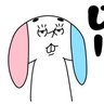 まろいぬ's profile picture