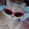 Profilbild von JamesM