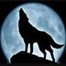 Profilbild von Zarwolf