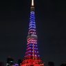 Фото профиля どりあん